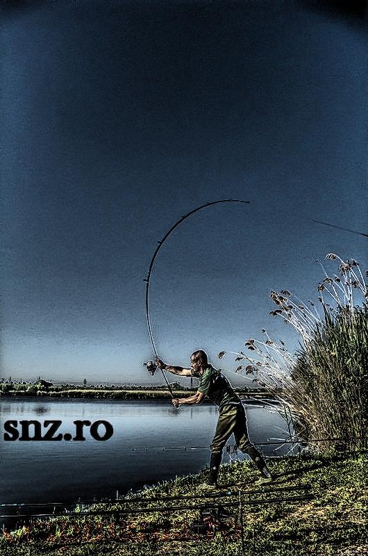 Crapmania - 2013 - 1010041-2hdrmode2.JPG